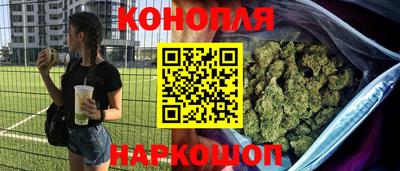 мяу мяу мука Краснознаменск