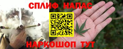 мяу мяу мука Краснознаменск