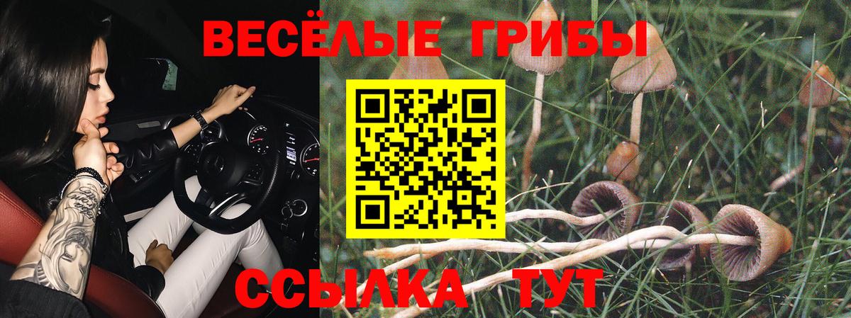 Галлюциногенные грибы Psilocybine cubensis Егорьевск